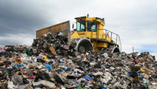 <p>WWF is hoping to get 100 companies to join the scheme. Image: Steve Morgan at WWF UK</p>